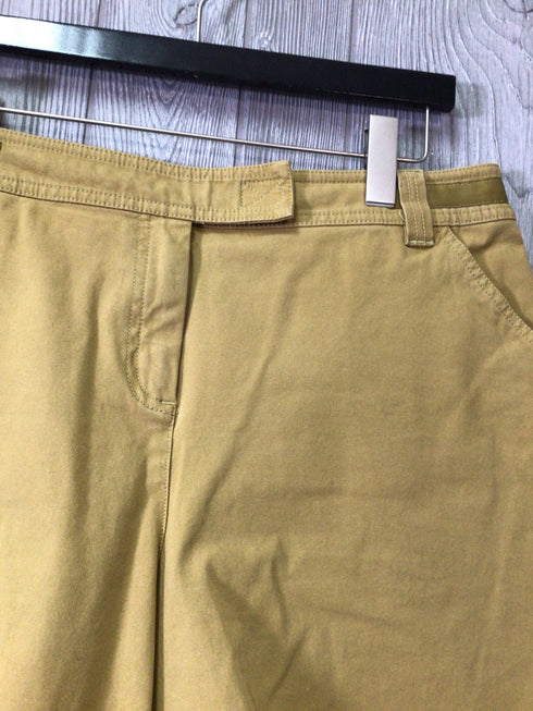 J Jill Shorts Size 14